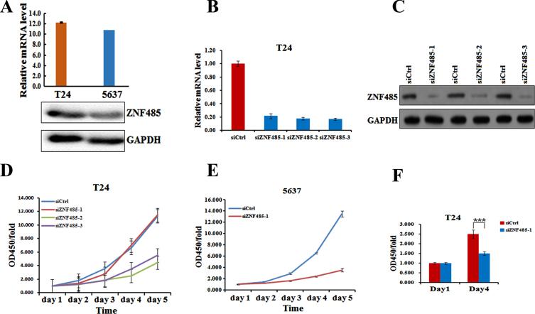 https://cdn.ncbi.nlm.nih.gov/pmc/blobs/6dea/11181812/4834af257fe1/blc-8-blc211623-g002.jpg