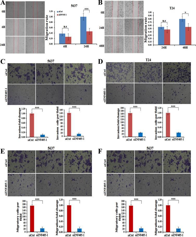 https://cdn.ncbi.nlm.nih.gov/pmc/blobs/6dea/11181812/826c950e1d8d/blc-8-blc211623-g004.jpg
