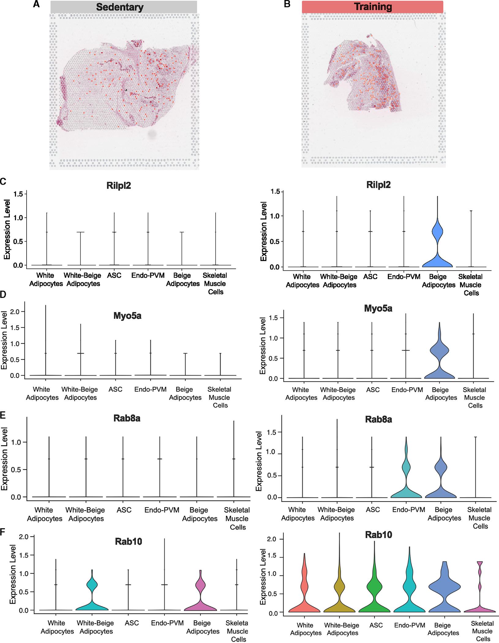 https://cdn.ncbi.nlm.nih.gov/pmc/blobs/6deb/11309084/2b2e5559ec7a/nihms-2011887-f0006.jpg