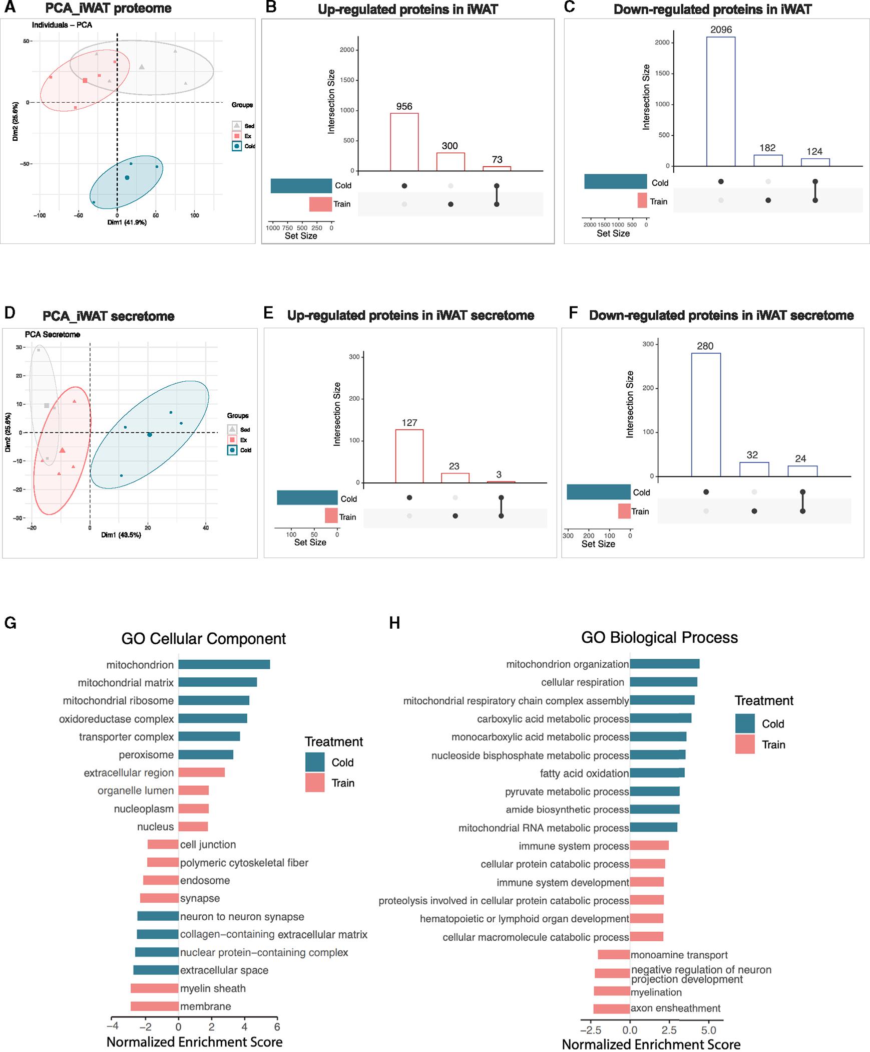 https://cdn.ncbi.nlm.nih.gov/pmc/blobs/6deb/11309084/7b01562f9e88/nihms-2011887-f0004.jpg
