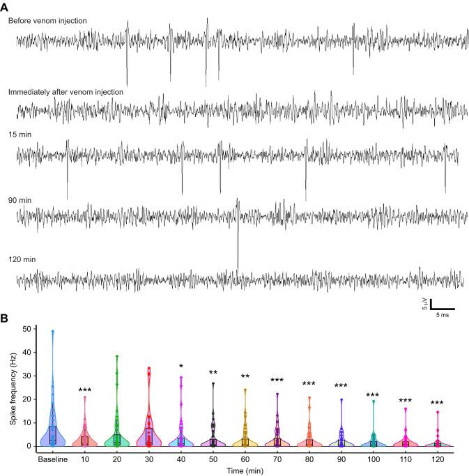 https://cdn.ncbi.nlm.nih.gov/pmc/blobs/6ded/10088415/ac11b6854f6a/jexbio-226-245252-g2.jpg
