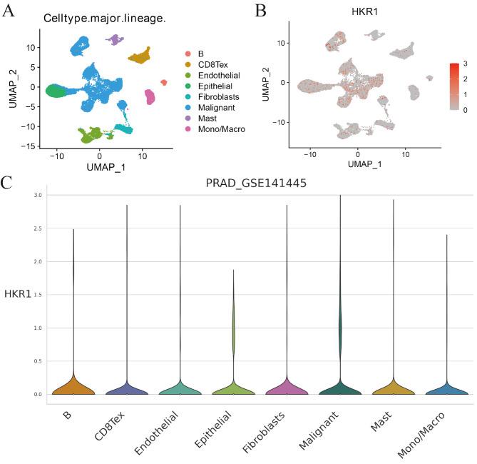 https://cdn.ncbi.nlm.nih.gov/pmc/blobs/6dee/12046947/774e30e58624/12885_2025_14230_Fig2_HTML.jpg