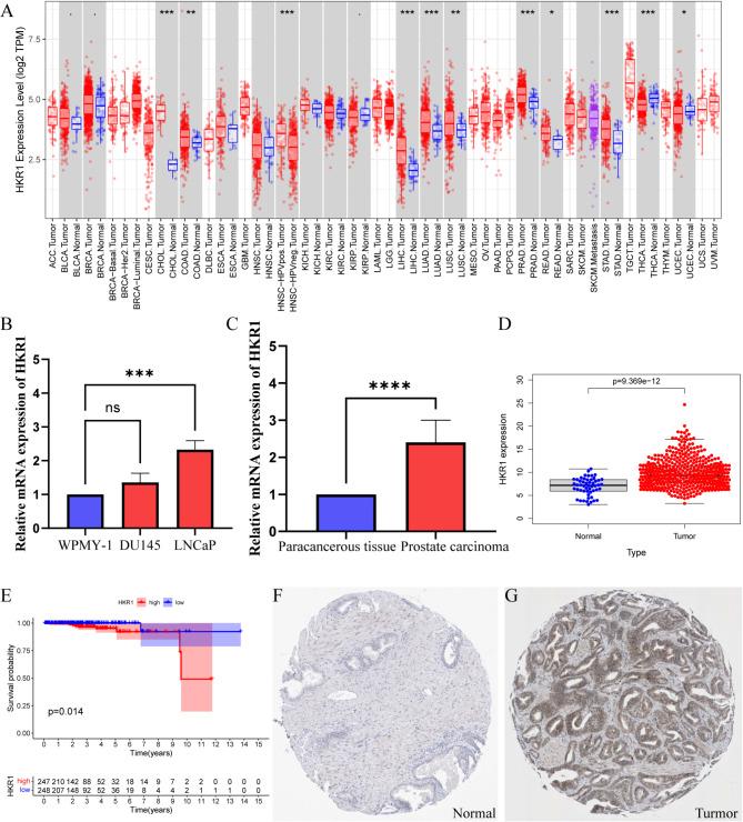 https://cdn.ncbi.nlm.nih.gov/pmc/blobs/6dee/12046947/aabf7010e00a/12885_2025_14230_Fig1_HTML.jpg