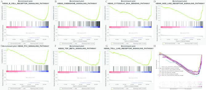 https://cdn.ncbi.nlm.nih.gov/pmc/blobs/6dee/12046947/f3aed3cef07b/12885_2025_14230_Fig5_HTML.jpg