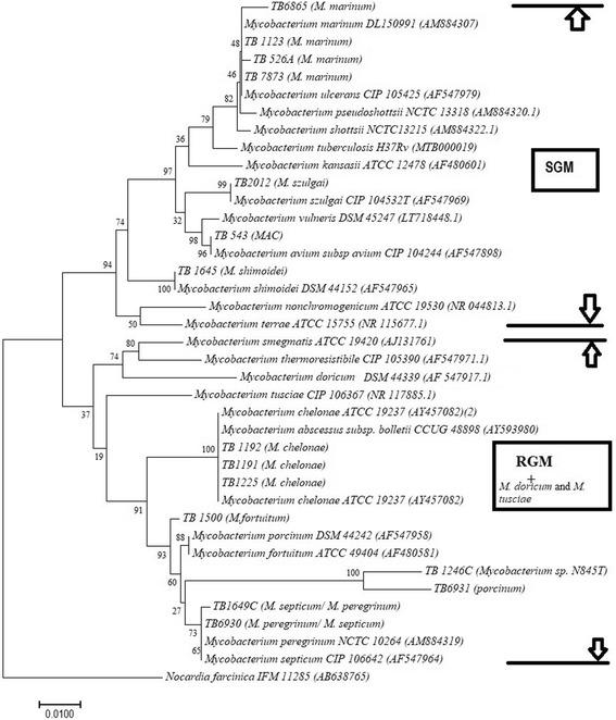 https://cdn.ncbi.nlm.nih.gov/pmc/blobs/6dee/5899368/41809a27e7f7/12866_2018_1177_Fig1_HTML.jpg