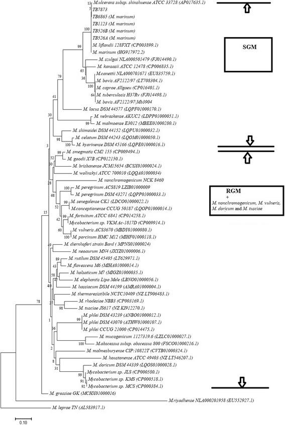 https://cdn.ncbi.nlm.nih.gov/pmc/blobs/6dee/5899368/7362521f6ebe/12866_2018_1177_Fig3_HTML.jpg