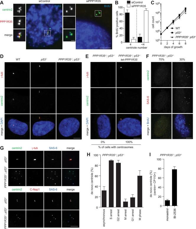 https://cdn.ncbi.nlm.nih.gov/pmc/blobs/6dee/6249868/418d110e48e0/mbc-29-2801-g002.jpg