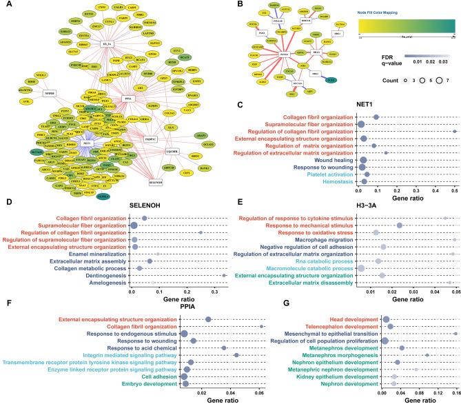 https://cdn.ncbi.nlm.nih.gov/pmc/blobs/6def/11833133/9668d7804864/41598_2025_90658_Fig2_HTML.jpg