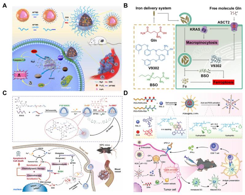 https://cdn.ncbi.nlm.nih.gov/pmc/blobs/6df3/12298166/5ef5cbeb430d/pharmaceutics-17-00937-g004.jpg