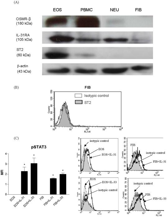 https://cdn.ncbi.nlm.nih.gov/pmc/blobs/6df3/3260155/6d21dd1eb3f5/pone.0029815.g001.jpg