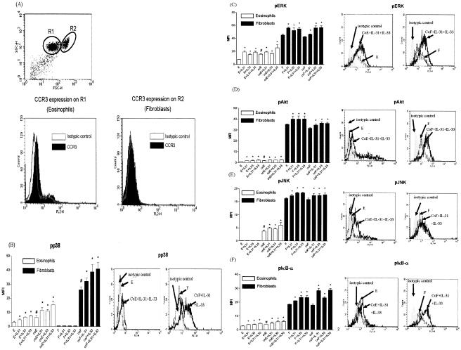 https://cdn.ncbi.nlm.nih.gov/pmc/blobs/6df3/3260155/a5989aa51ba1/pone.0029815.g006.jpg