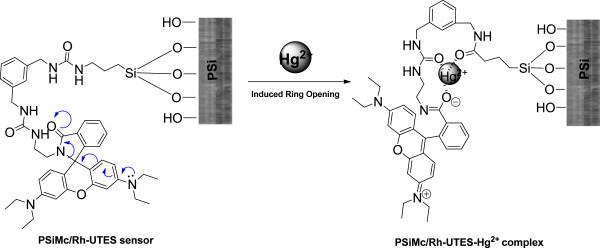 https://cdn.ncbi.nlm.nih.gov/pmc/blobs/6df3/4155041/fc3d9fca5795/1556-276X-9-431-10.jpg