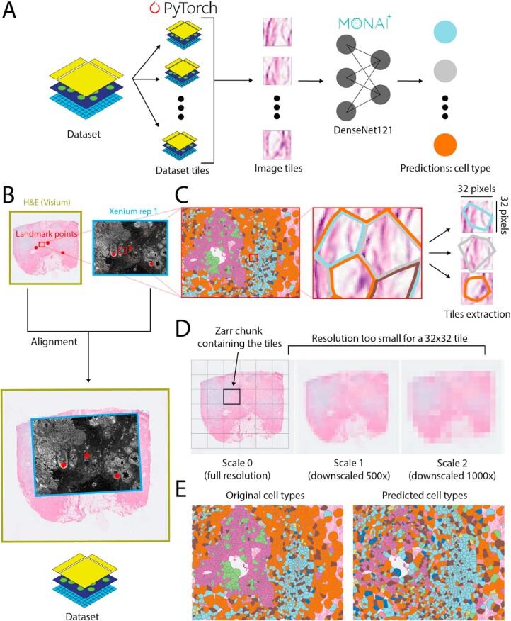 https://cdn.ncbi.nlm.nih.gov/pmc/blobs/6df4/11725494/3aac69208d90/41592_2024_2212_Fig7_ESM.jpg