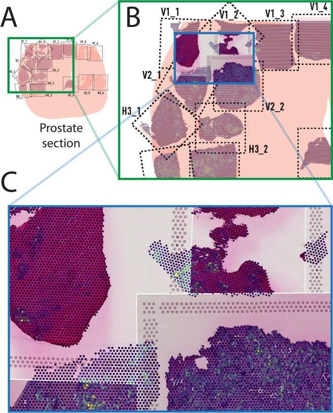 https://cdn.ncbi.nlm.nih.gov/pmc/blobs/6df4/11725494/82865658b718/41592_2024_2212_Fig9_ESM.jpg