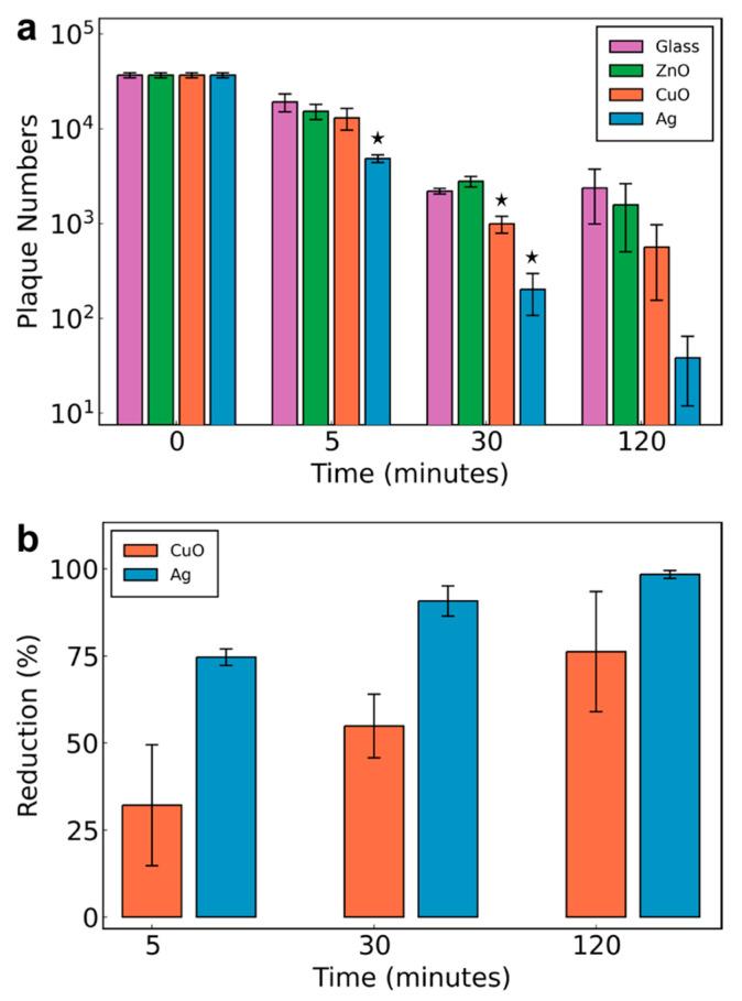 https://cdn.ncbi.nlm.nih.gov/pmc/blobs/6df4/8155969/725e0d133877/nanomaterials-11-01312-g004.jpg