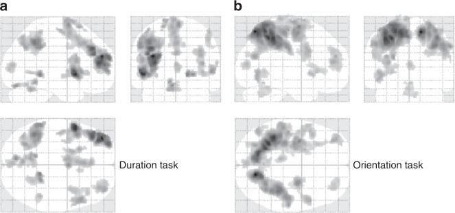 https://cdn.ncbi.nlm.nih.gov/pmc/blobs/6df5/6303258/00c7700858d2/42003_2018_243_Fig2_HTML.jpg