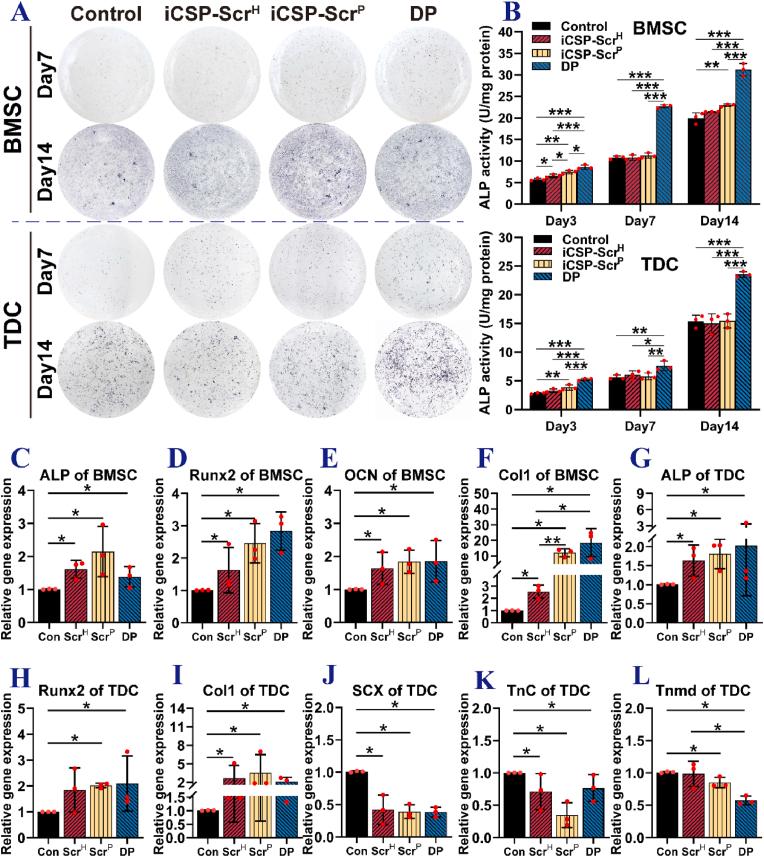https://cdn.ncbi.nlm.nih.gov/pmc/blobs/6df6/11301399/c6f9cdf64332/gr7.jpg