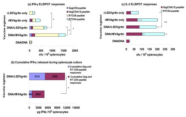 https://cdn.ncbi.nlm.nih.gov/pmc/blobs/6dfe/3117847/93c261bb9dce/1743-422X-8-265-3.jpg