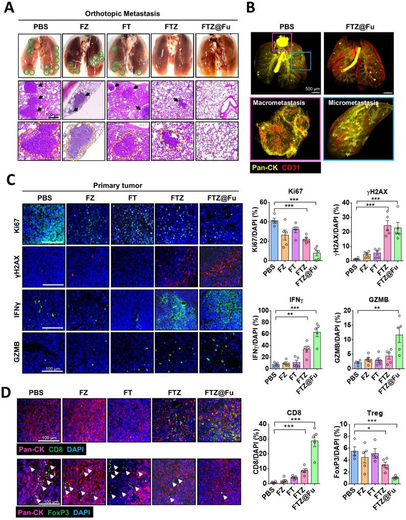 https://cdn.ncbi.nlm.nih.gov/pmc/blobs/6e00/12128240/19a680de0f8c/12951_2025_3473_Fig8_HTML.jpg