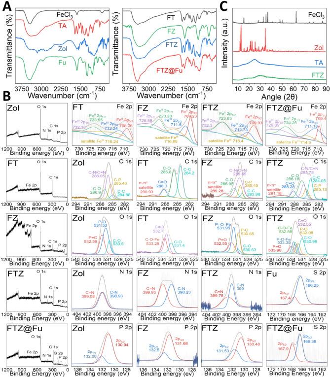 https://cdn.ncbi.nlm.nih.gov/pmc/blobs/6e00/12128240/52b34b74b2a4/12951_2025_3473_Fig3_HTML.jpg