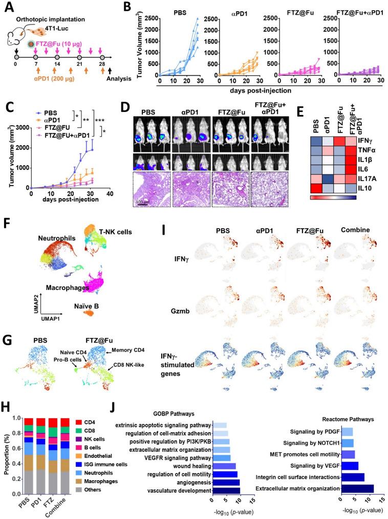 https://cdn.ncbi.nlm.nih.gov/pmc/blobs/6e00/12128240/91e49d8e6f96/12951_2025_3473_Fig9_HTML.jpg
