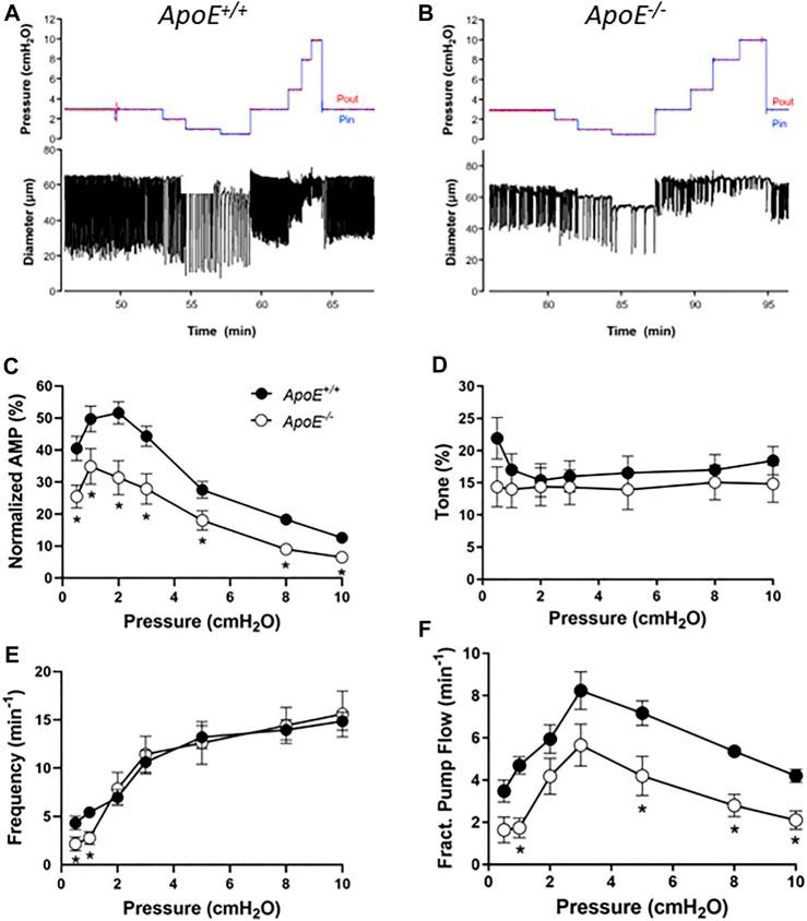 https://cdn.ncbi.nlm.nih.gov/pmc/blobs/6e01/9852907/4e0746e6a84c/fphys-13-1098408-g001.jpg