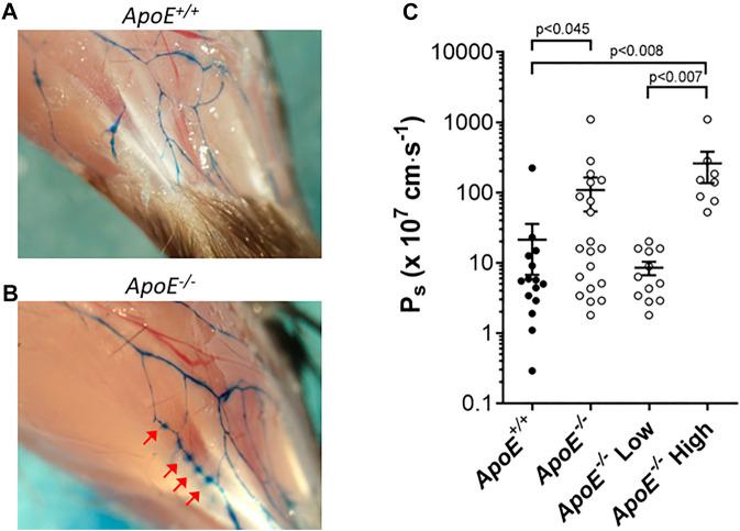 https://cdn.ncbi.nlm.nih.gov/pmc/blobs/6e01/9852907/72f9472b0055/fphys-13-1098408-g005.jpg