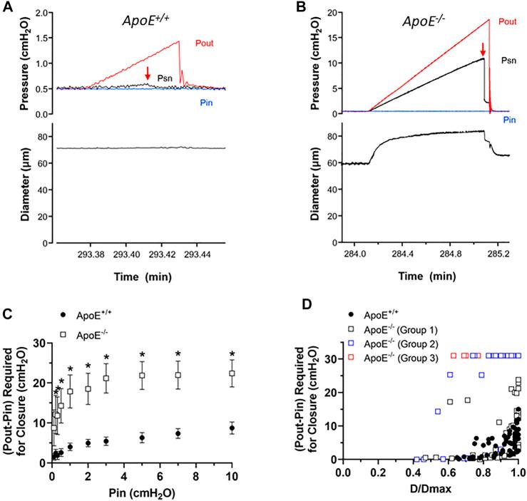 https://cdn.ncbi.nlm.nih.gov/pmc/blobs/6e01/9852907/a196fcd431c6/fphys-13-1098408-g003.jpg