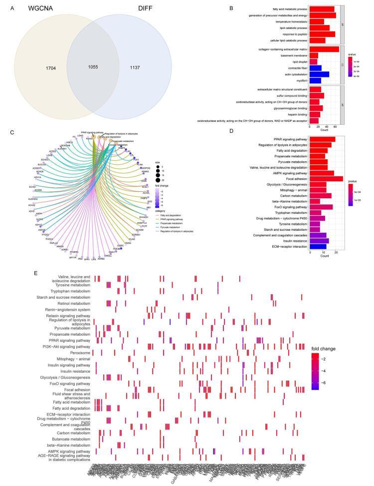 https://cdn.ncbi.nlm.nih.gov/pmc/blobs/6e02/12140689/73854e3be9dc/ms9-87-3201-g004.jpg