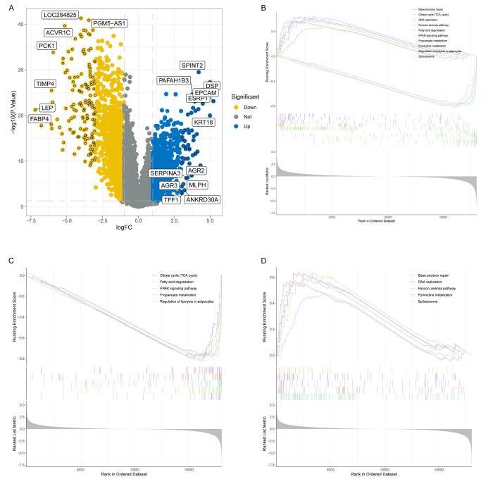 https://cdn.ncbi.nlm.nih.gov/pmc/blobs/6e02/12140689/82c4734bcb19/ms9-87-3201-g002.jpg