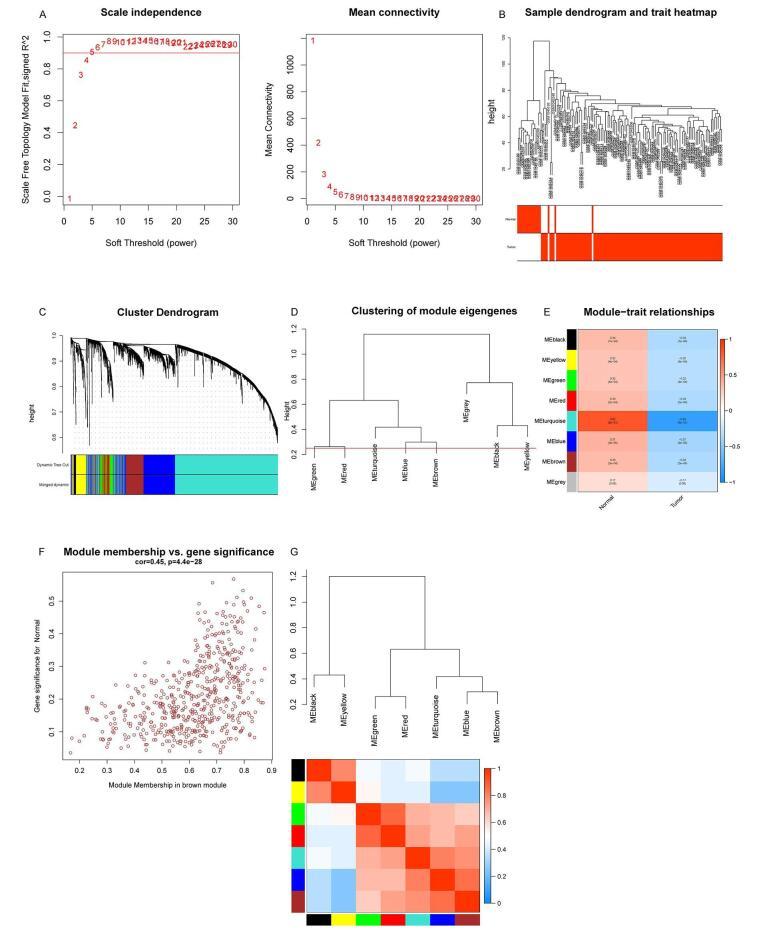 https://cdn.ncbi.nlm.nih.gov/pmc/blobs/6e02/12140689/cf7c3b858735/ms9-87-3201-g003.jpg