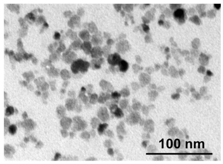 https://cdn.ncbi.nlm.nih.gov/pmc/blobs/6e02/8746458/6ad8e73a6645/nanomaterials-12-00038-g001.jpg