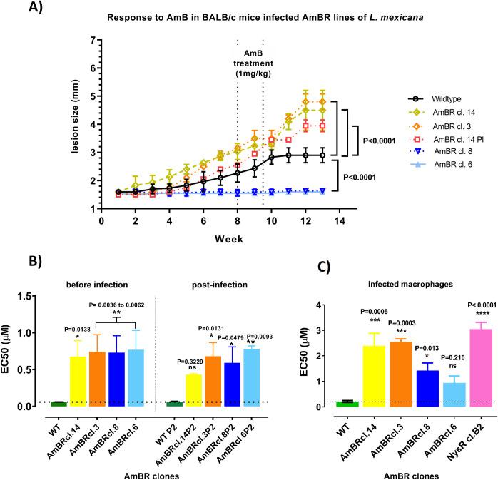 https://cdn.ncbi.nlm.nih.gov/pmc/blobs/6e03/9581426/34ba2013cac4/pntd.0010779.g006.jpg