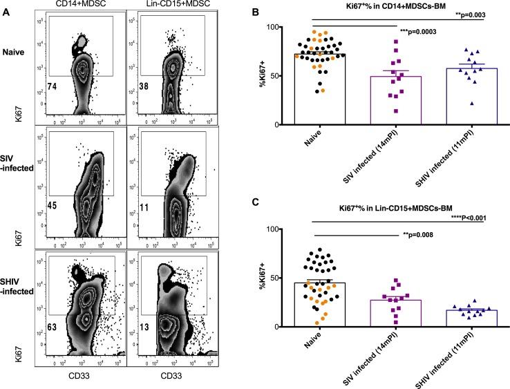 https://cdn.ncbi.nlm.nih.gov/pmc/blobs/6e07/5448820/11b3a432162a/ppat.1006395.g008.jpg