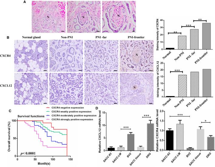 https://cdn.ncbi.nlm.nih.gov/pmc/blobs/6e07/8358865/ab8bcdbae675/JCMM-25-7901-g002.jpg