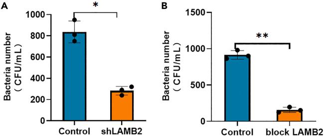 https://cdn.ncbi.nlm.nih.gov/pmc/blobs/6e09/10520442/f36a70703795/gr2.jpg