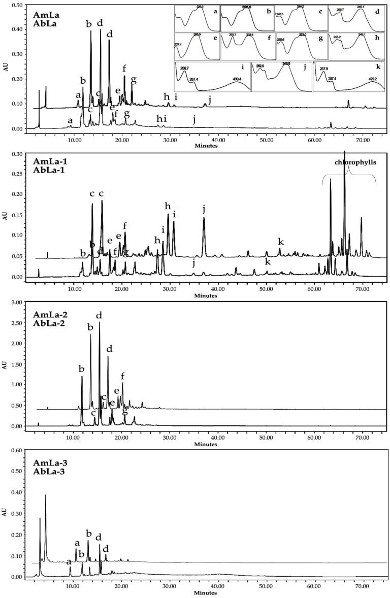 https://cdn.ncbi.nlm.nih.gov/pmc/blobs/6e0b/10005749/cc3c8ff6153d/molecules-28-02372-g001.jpg