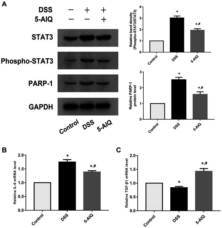 https://cdn.ncbi.nlm.nih.gov/pmc/blobs/6e0b/7751469/d6f7a6569336/etm-21-02-09566-g03.jpg