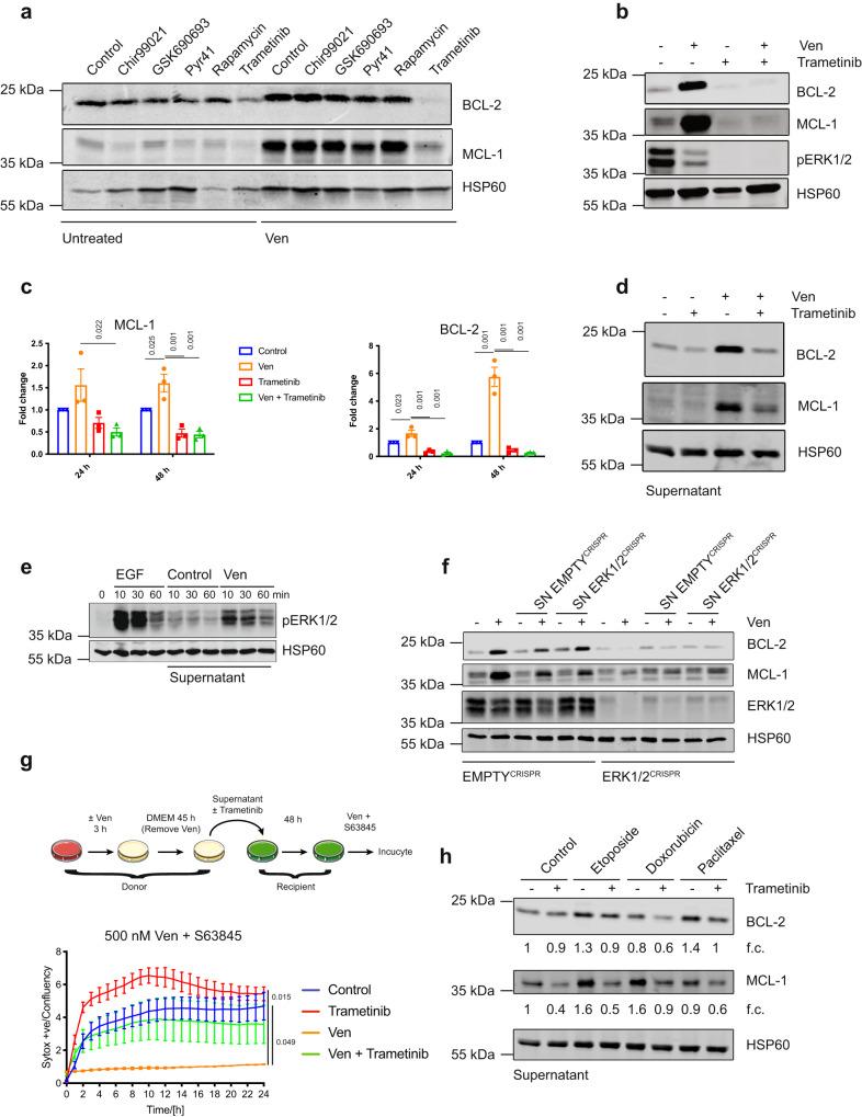 https://cdn.ncbi.nlm.nih.gov/pmc/blobs/6e0e/8590049/1832da6b119f/41467_2021_26613_Fig3_HTML.jpg
