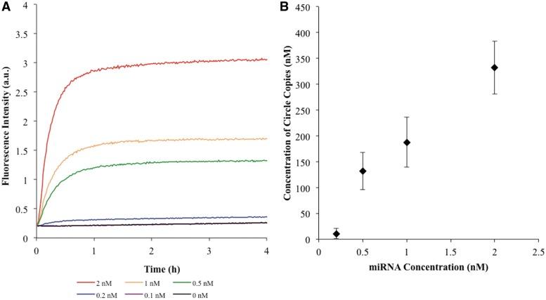 https://cdn.ncbi.nlm.nih.gov/pmc/blobs/6e0f/3351153/6b62360607bd/gkr1313f5.jpg