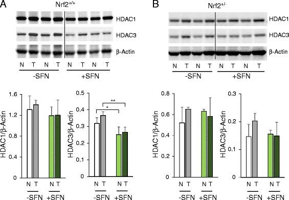 https://cdn.ncbi.nlm.nih.gov/pmc/blobs/6e10/4575421/41e631c8f4bd/13148_2015_132_Fig4_HTML.jpg
