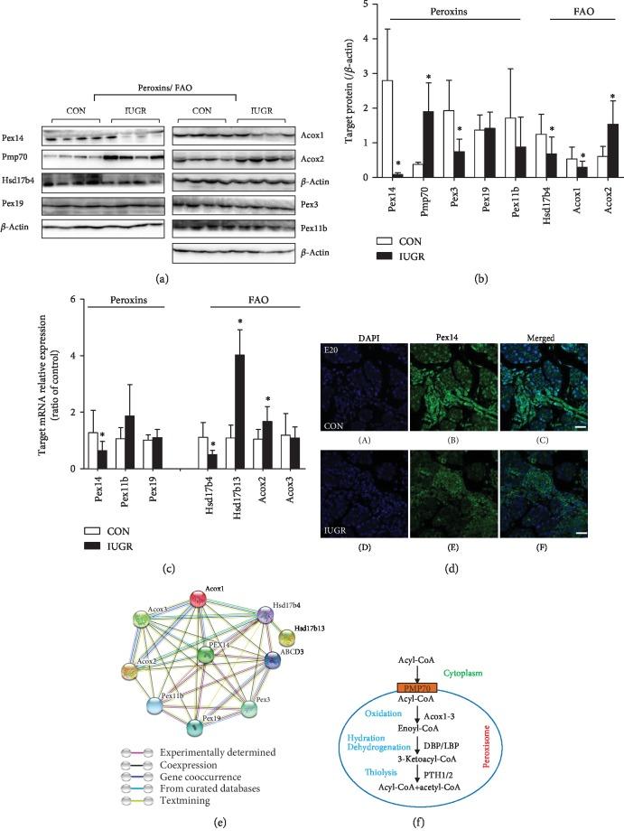 https://cdn.ncbi.nlm.nih.gov/pmc/blobs/6e12/6874927/db9f5909cba6/OMCL2019-1520753.007.jpg