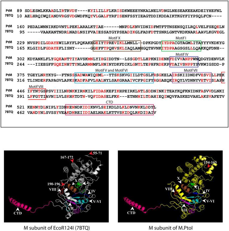 https://cdn.ncbi.nlm.nih.gov/pmc/blobs/6e13/10050889/3464f0c1562d/fmicb-14-1126750-g003.jpg