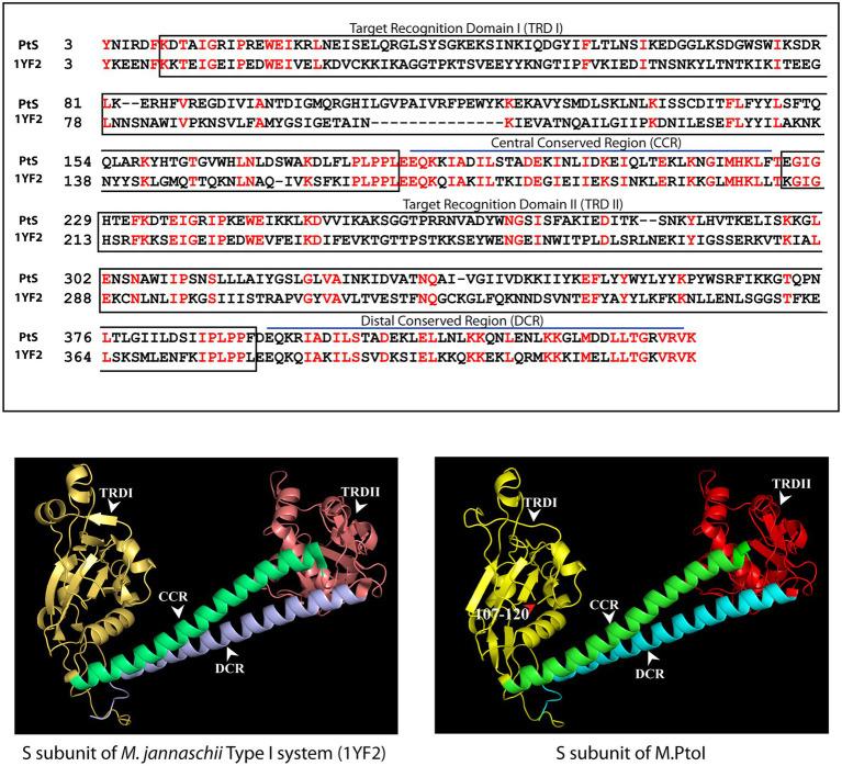 https://cdn.ncbi.nlm.nih.gov/pmc/blobs/6e13/10050889/9d0a473fb3b5/fmicb-14-1126750-g004.jpg