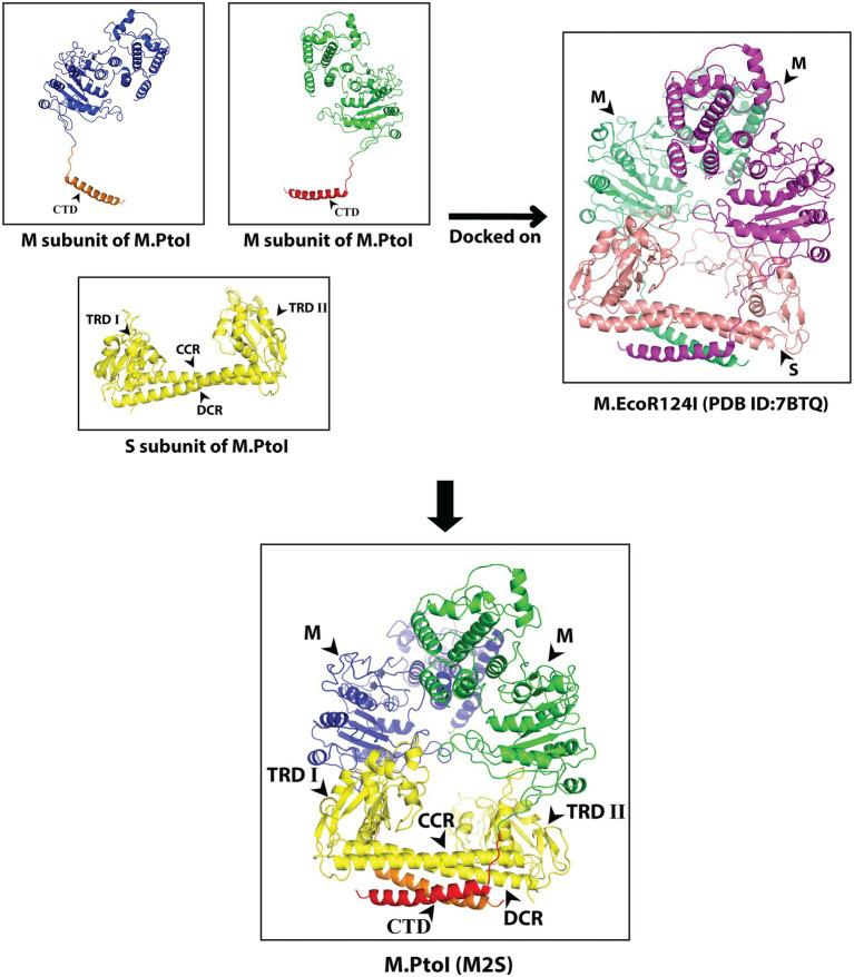 https://cdn.ncbi.nlm.nih.gov/pmc/blobs/6e13/10050889/eea9fef14bab/fmicb-14-1126750-g005.jpg