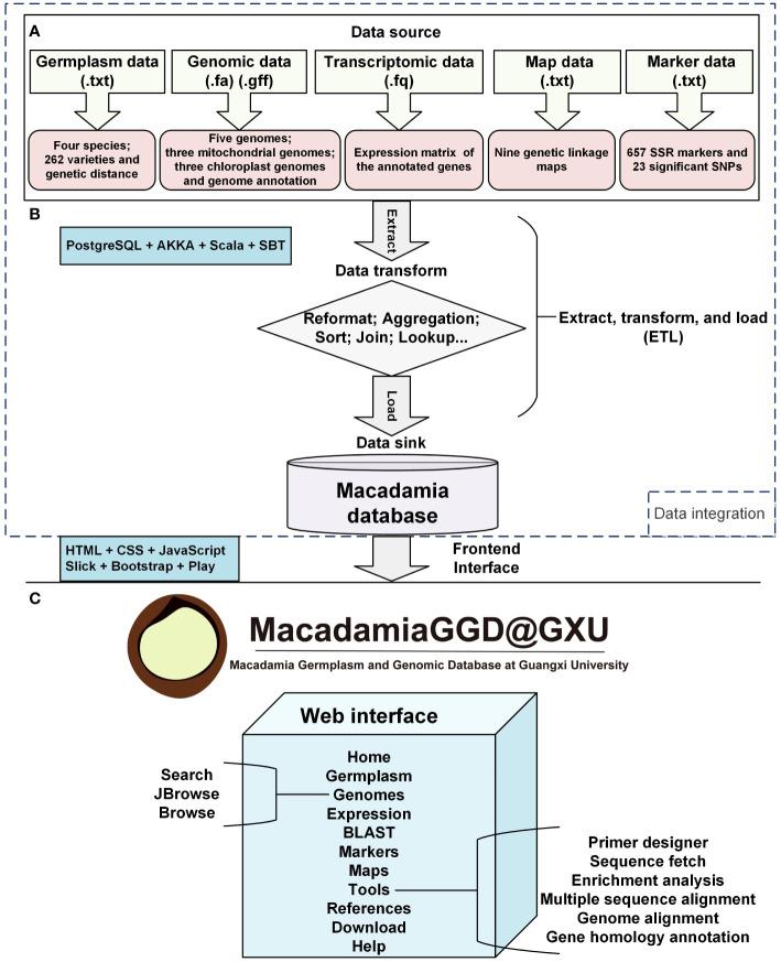 https://cdn.ncbi.nlm.nih.gov/pmc/blobs/6e13/9646992/1f95dabc7fd9/fpls-13-1007266-g001.jpg