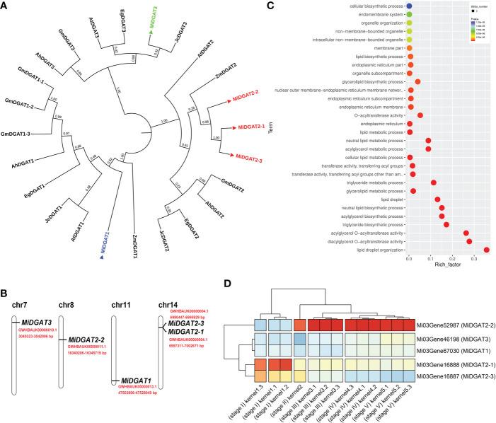 https://cdn.ncbi.nlm.nih.gov/pmc/blobs/6e13/9646992/a0c128bb940f/fpls-13-1007266-g005.jpg