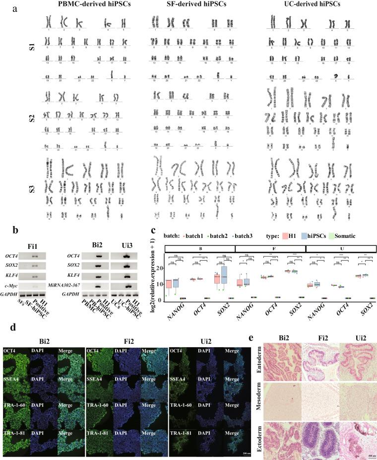 https://cdn.ncbi.nlm.nih.gov/pmc/blobs/6e14/10495316/394870e02542/41597_2023_2493_Fig2_HTML.jpg