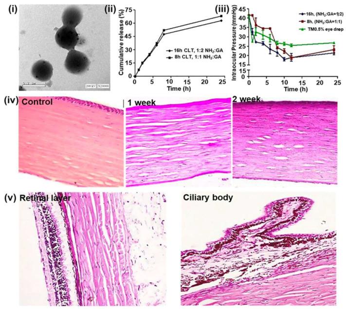 https://cdn.ncbi.nlm.nih.gov/pmc/blobs/6e14/12388915/9c6ce408187b/pharmaceutics-17-01087-g005.jpg