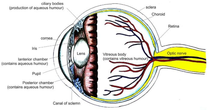 https://cdn.ncbi.nlm.nih.gov/pmc/blobs/6e14/12388915/ea9758a0d1c9/pharmaceutics-17-01087-g001.jpg